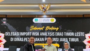 Terus Genjot Ekspor Peternakan, Indonesia Kembali Terima Delegasi Timor Leste